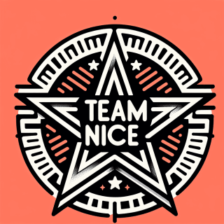 team NICEという文字が書かれた星形のエンブレムの画像