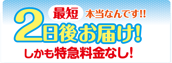 最短翌日発送・2日後お届け