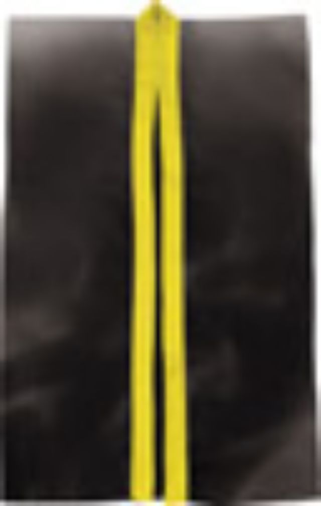 黒（襟黄）（L）｜サテンロングはっぴ