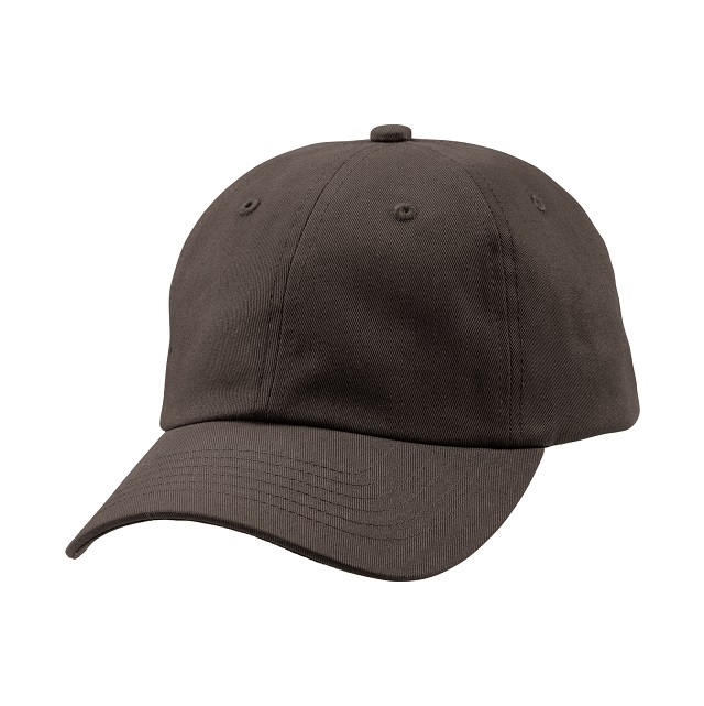 ｳﾞｨﾝﾃｰｼﾞﾌﾞﾗｯｸ｜THE キャップ