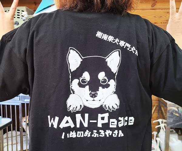 ナイスTシャツの商品レビュー画像