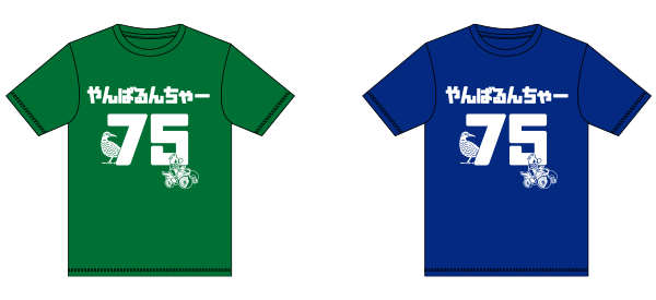 スポーツドライTシャツの商品レビュー画像